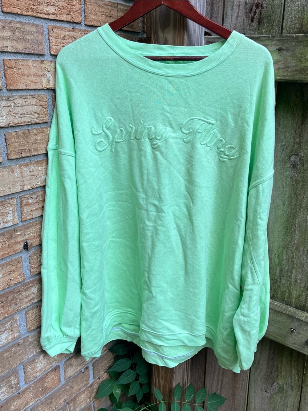 aerie Oversized Spring Fling Embroidered Crewneck Sweatshirt in Bright Green